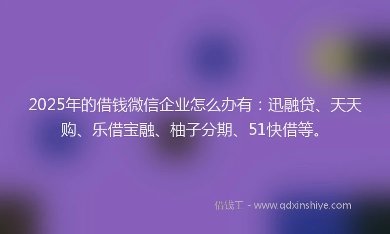 2025年的借钱微信企业怎么办有：迅融贷、天天购、乐借宝融、柚子分期、51快借等。
