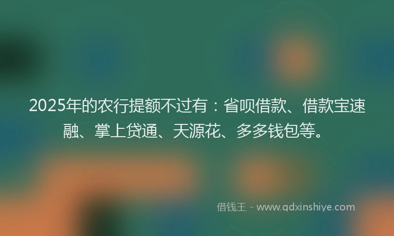 2025年的农行提额不过有：省呗借款、借款宝速融、掌上贷通、天源花、多多钱包等。