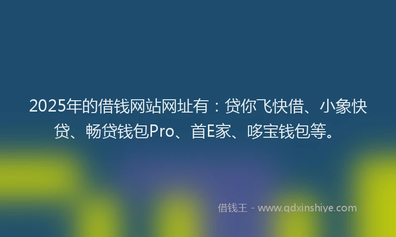 2025年的借钱网站网址有：贷你飞快借、小象快贷、畅贷钱包Pro、首E家、哆宝钱包等。
