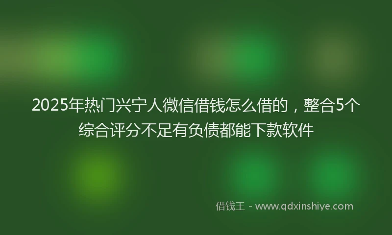 2025年热门兴宁人微信借钱怎么借的，整合5个综合评分不足有负债都能下款软件