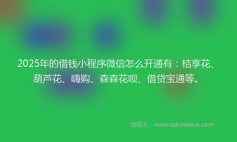 2025年的借钱小程序微信怎么开通有：桔享花、葫芦花、嗨购、森森花呗、借贷宝通等。
