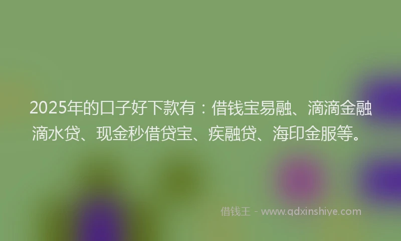 2025年的口子好下款有：借钱宝易融、滴滴金融滴水贷、现金秒借贷宝、疾融贷、海印金服等。