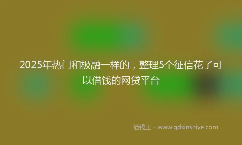 2025年热门和极融一样的，整理5个征信花了可以借钱的网贷平台