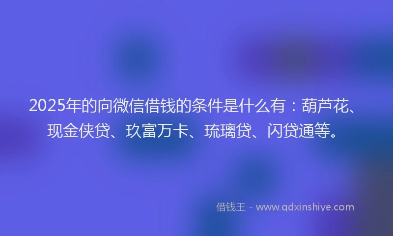 2025年的向微信借钱的条件是什么有：葫芦花、现金侠贷、玖富万卡、琉璃贷、闪贷通等。