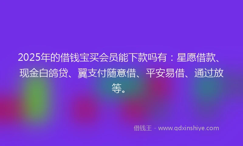 2025年的借钱宝买会员能下款吗有：星愿借款、现金白鸽贷、翼支付随意借、平安易借、通过放等。