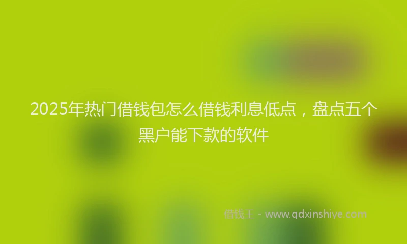 2025年热门借钱包怎么借钱利息低点，盘点五个黑户能下款的软件