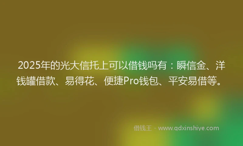 2025年的光大信托上可以借钱吗有：瞬信金、洋钱罐借款、易得花、便捷Pro钱包、平安易借等。
