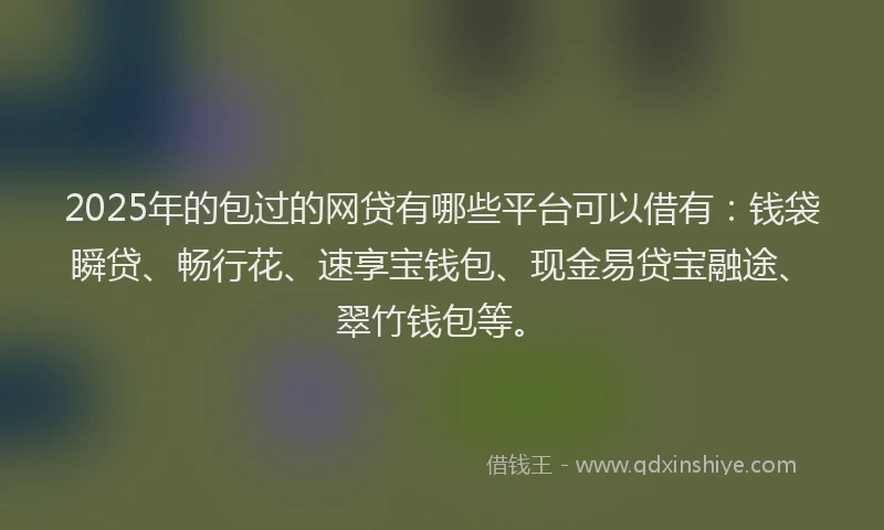2025年的包过的网贷有哪些平台可以借有：钱袋瞬贷、畅行花、速享宝钱包、现金易贷宝融途、翠竹钱包等。