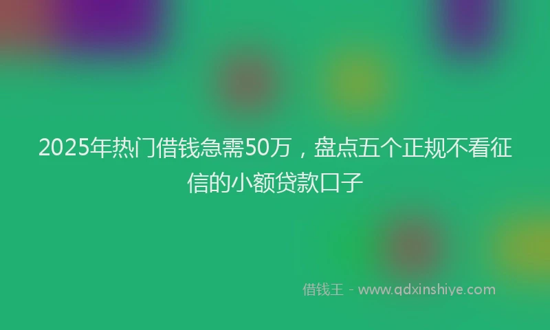 2025年热门借钱急需50万，盘点五个正规不看征信的小额贷款口子