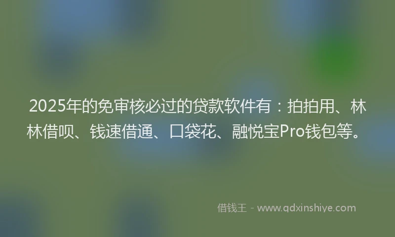 2025年的免审核必过的贷款软件有：拍拍用、林林借呗、钱速借通、口袋花、融悦宝Pro钱包等。