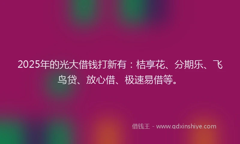 2025年的光大借钱打新有：桔享花、分期乐、飞鸟贷、放心借、极速易借等。