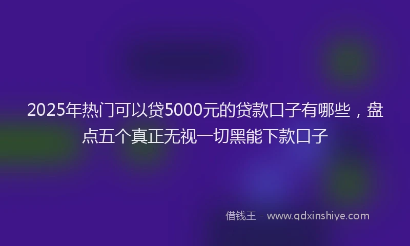 2025年热门可以贷5000元的贷款口子有哪些，盘点五个真正无视一切黑能下款口子