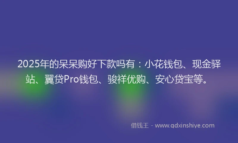 2025年的呆呆购好下款吗有：小花钱包、现金驿站、翼贷Pro钱包、骏祥优购、安心贷宝等。