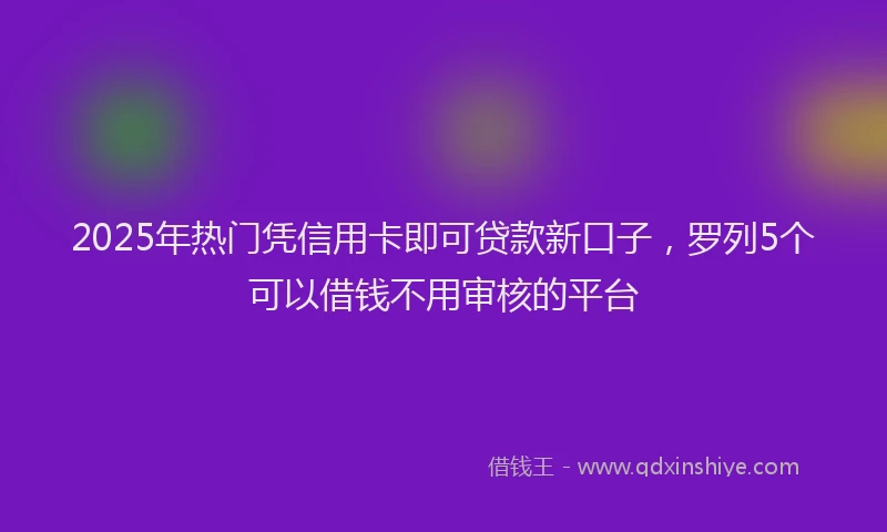 2025年热门凭信用卡即可贷款新口子，罗列5个可以借钱不用审核的平台