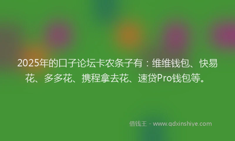 2025年的口子论坛卡农条子有：维维钱包、快易花、多多花、携程拿去花、速贷Pro钱包等。