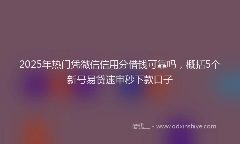 2025年热门凭微信信用分借钱可靠吗，概括5个新号易贷速审秒下款口子