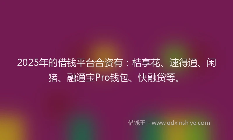 2025年的借钱平台合资有：桔享花、速得通、闲猪、融通宝Pro钱包、快融贷等。