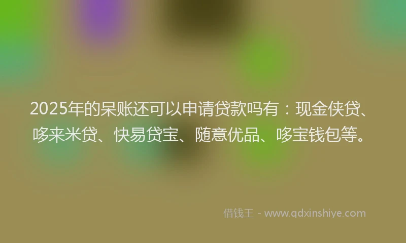 2025年的呆账还可以申请贷款吗有：现金侠贷、哆来米贷、快易贷宝、随意优品、哆宝钱包等。
