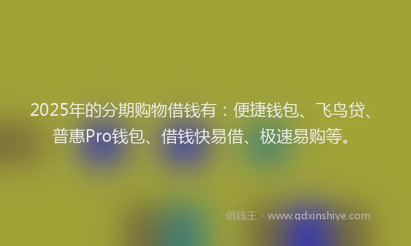 2025年的分期购物借钱有：便捷钱包、飞鸟贷、普惠Pro钱包、借钱快易借、极速易购等。
