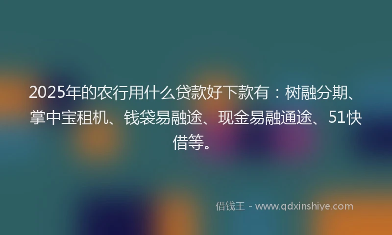 2025年的农行用什么贷款好下款有：树融分期、掌中宝租机、钱袋易融途、现金易融通途、51快借等。
