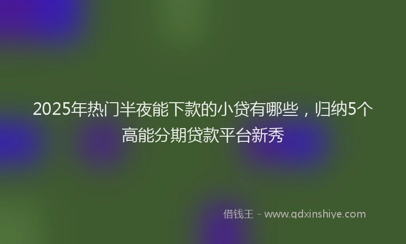 2025年热门半夜能下款的小贷有哪些，归纳5个高能分期贷款平台新秀