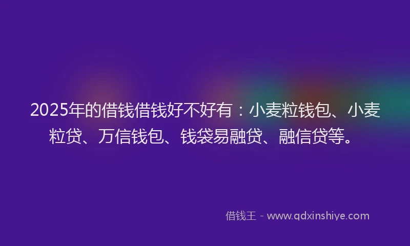 2025年的借钱借钱好不好有：小麦粒钱包、小麦粒贷、万信钱包、钱袋易融贷、融信贷等。