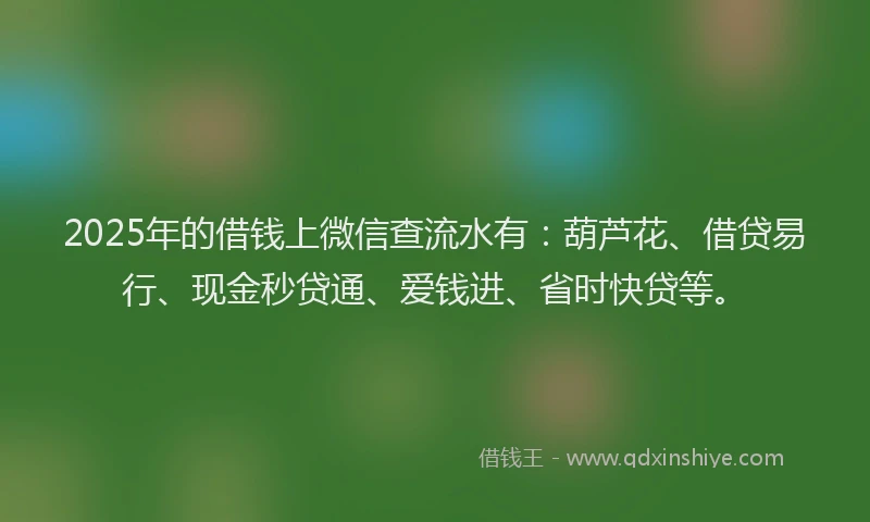2025年的借钱上微信查流水有：葫芦花、借贷易行、现金秒贷通、爱钱进、省时快贷等。