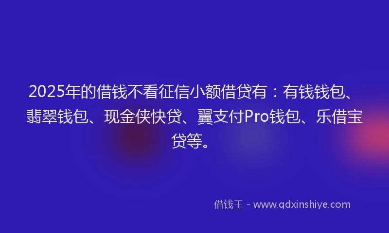 2025年的借钱不看征信小额借贷有：有钱钱包、翡翠钱包、现金侠快贷、翼支付Pro钱包、乐借宝贷等。