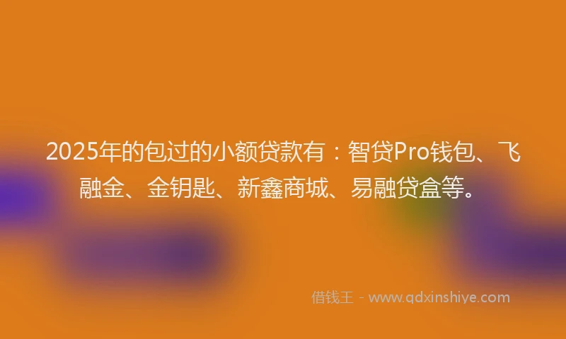 2025年的包过的小额贷款有：智贷Pro钱包、飞融金、金钥匙、新鑫商城、易融贷盒等。