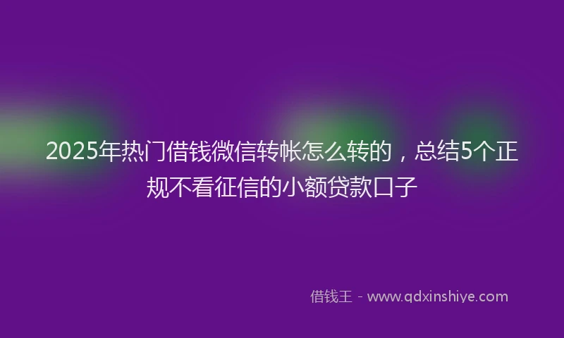 2025年热门借钱微信转帐怎么转的，总结5个正规不看征信的小额贷款口子