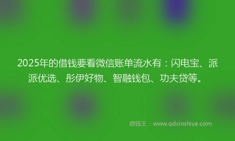 2025年的借钱要看微信账单流水有：闪电宝、派派优选、彤伊好物、智融钱包、功夫贷等。
