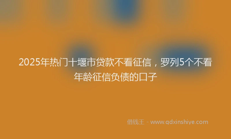 2025年热门十堰市贷款不看征信，罗列5个不看年龄征信负债的口子