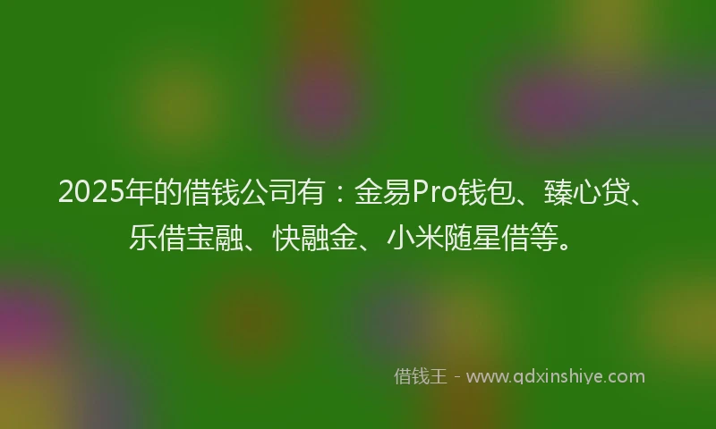 2025年的借钱公司有：金易Pro钱包、臻心贷、乐借宝融、快融金、小米随星借等。