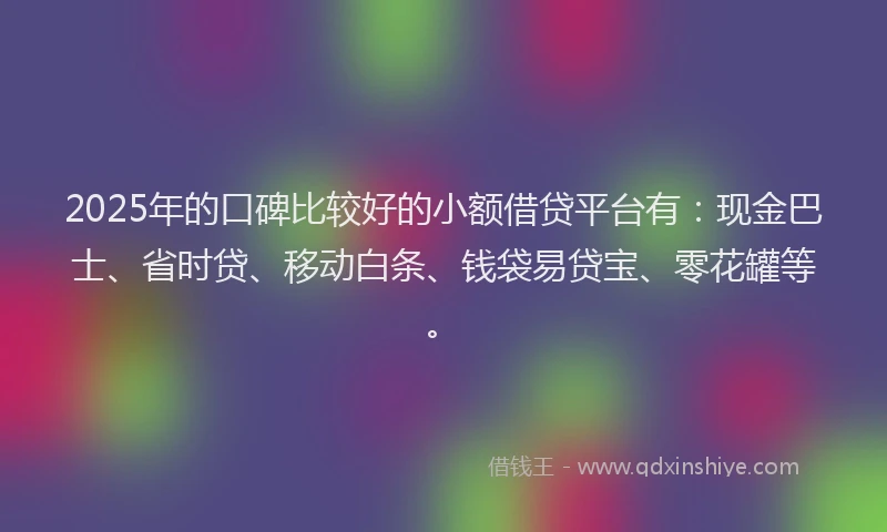 2025年的口碑比较好的小额借贷平台有：现金巴士、省时贷、移动白条、钱袋易贷宝、零花罐等。