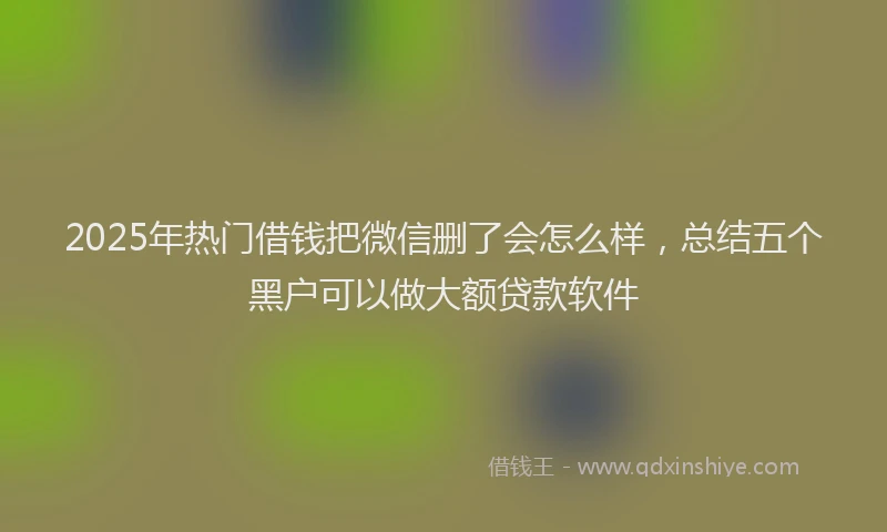 2025年热门借钱把微信删了会怎么样，总结五个黑户可以做大额贷款软件