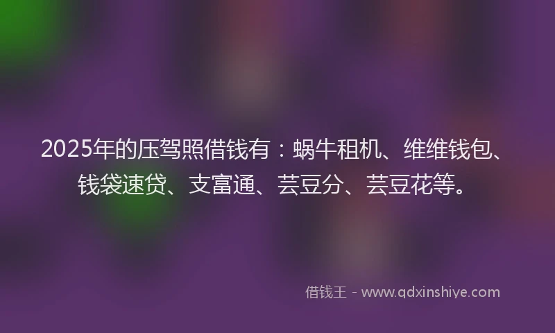 2025年的压驾照借钱有：蜗牛租机、维维钱包、钱袋速贷、支富通、芸豆分、芸豆花等。