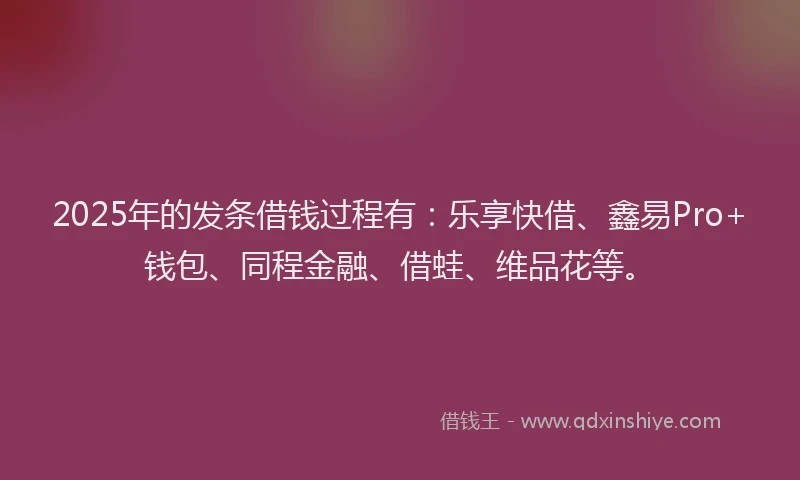 2025年的发条借钱过程有：乐享快借、鑫易Pro+钱包、同程金融、借蛙、维品花等。