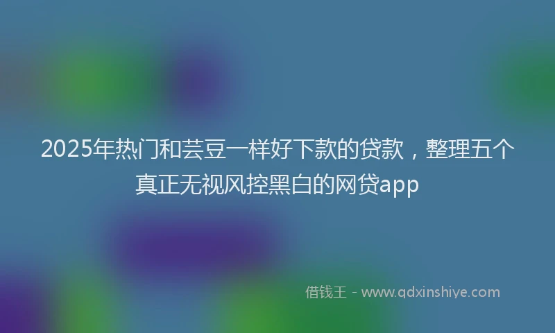 2025年热门和芸豆一样好下款的贷款，整理五个真正无视风控黑白的网贷app