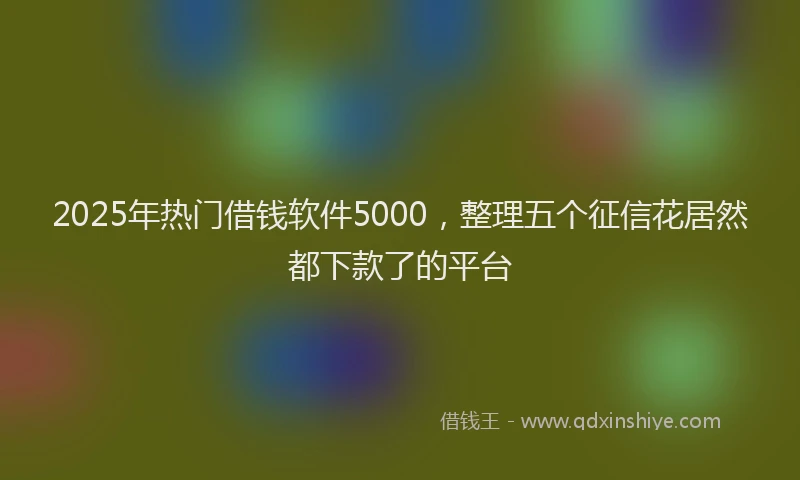 2025年热门借钱软件5000，整理五个征信花居然都下款了的平台
