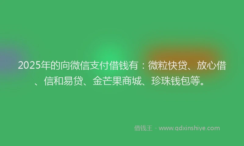 2025年的向微信支付借钱有：微粒快贷、放心借、信和易贷、金芒果商城、珍珠钱包等。