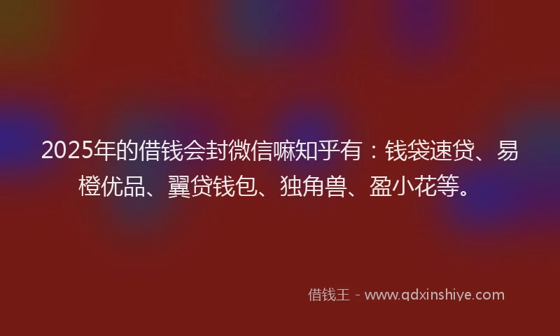 2025年的借钱会封微信嘛知乎有：钱袋速贷、易橙优品、翼贷钱包、独角兽、盈小花等。