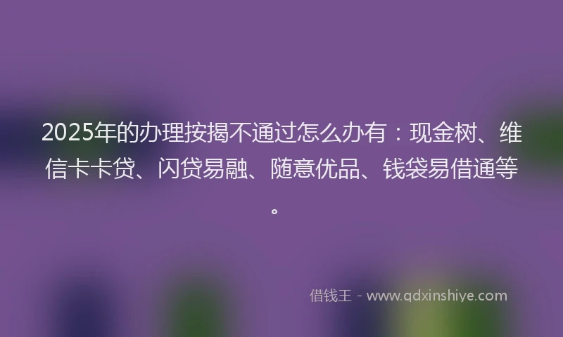 2025年的办理按揭不通过怎么办有：现金树、维信卡卡贷、闪贷易融、随意优品、钱袋易借通等。