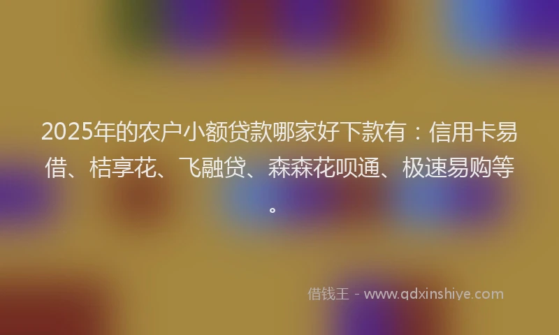 2025年的农户小额贷款哪家好下款有：信用卡易借、桔享花、飞融贷、森森花呗通、极速易购等。