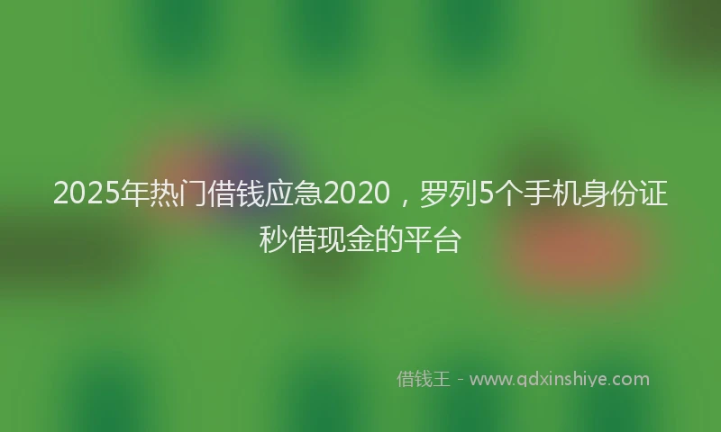 2025年热门借钱应急2020，罗列5个手机身份证秒借现金的平台