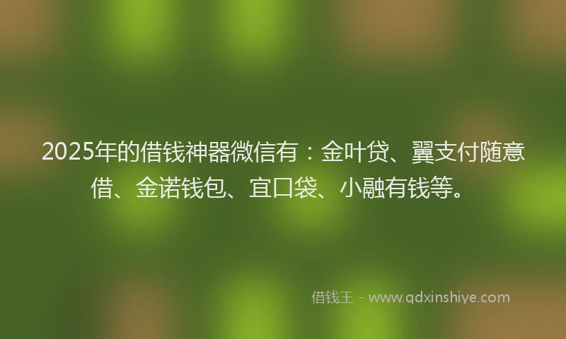 2025年的借钱神器微信有：金叶贷、翼支付随意借、金诺钱包、宜口袋、小融有钱等。