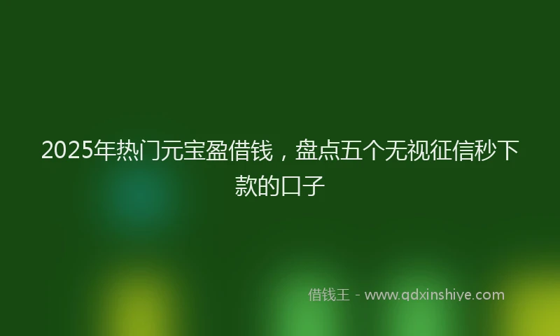 2025年热门元宝盈借钱，盘点五个无视征信秒下款的口子