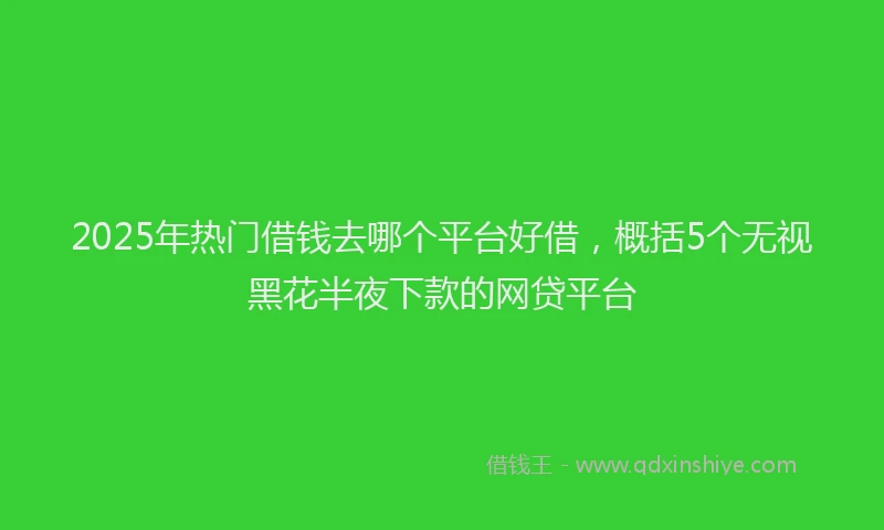 2025年热门借钱去哪个平台好借，概括5个无视黑花半夜下款的网贷平台