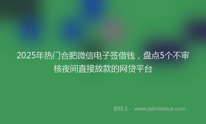 2025年热门合肥微信电子签借钱，盘点5个不审核夜间直接放款的网贷平台
