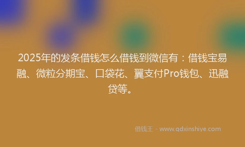 2025年的发条借钱怎么借钱到微信有：借钱宝易融、微粒分期宝、口袋花、翼支付Pro钱包、迅融贷等。