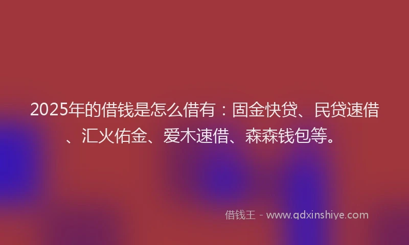 2025年的借钱是怎么借有：固金快贷、民贷速借、汇火佑金、爱木速借、森森钱包等。